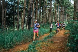 BIB: 
                            <button type="button" onclick="openModal(25752427)" class="btn btn-primary btn-sm float-right btn-popup" data-toggle="modal" data-target=".modal-high-quality">
                        <i class="fas fa-shopping-cart"></i> Add to Cart
                    </button>
                                            <button type="button" onclick="isThisMe(25752427, true)" class="btn btn-success btn-sm float-right btn-popup btn-isme hidden" data-toggle="tooltip" data-placement="bottom" title="นี่คือรูปของคุณใช่ไหม คลิกที่นี่เพื่อเอาเข้าอัลบั้ม">
                        <i class="fas fa-plus"></i> Add to album
                    </button>
                    <button type="button" onclick="isThisMe(25752427, false)" class="btn btn-warning btn-sm float-right btn-popup btn-isnotme hidden">
                        <i class="fas fa-ban"></i> Remove from album
                    </button>